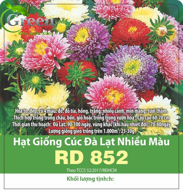 Hạt Giống Hoa Cúc Đà Lạt Nhiều Màu Sai Bông, Dễ Trồng (Gói 0.1 gam ~ 100 hạt)