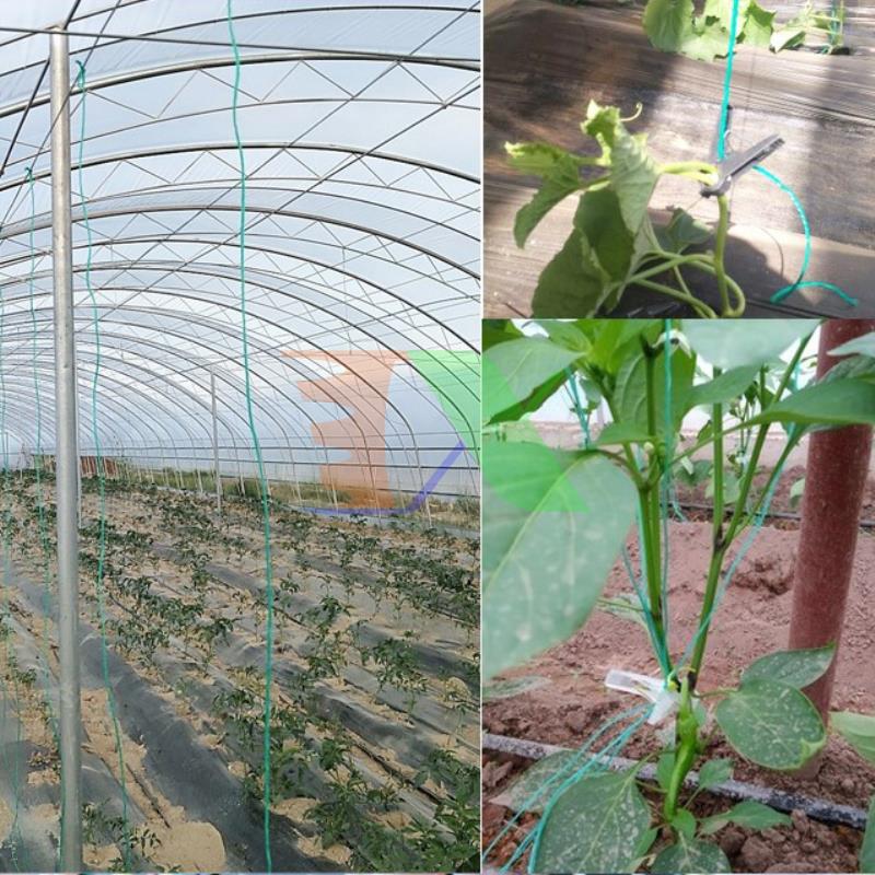 Dây treo nâng cây DAT-21, Dây treo dưa lưới, Dây nâng dưa leo, Dây treo cà chua, Nho - Cuộn 1000 m