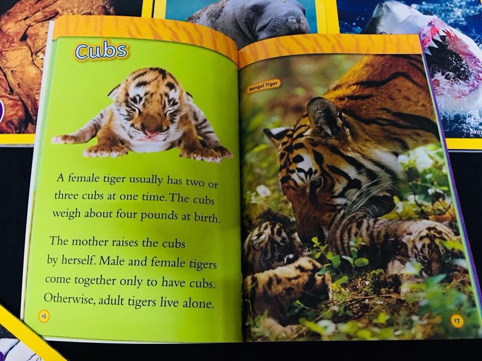 National Geographic 25 cuốn level 2