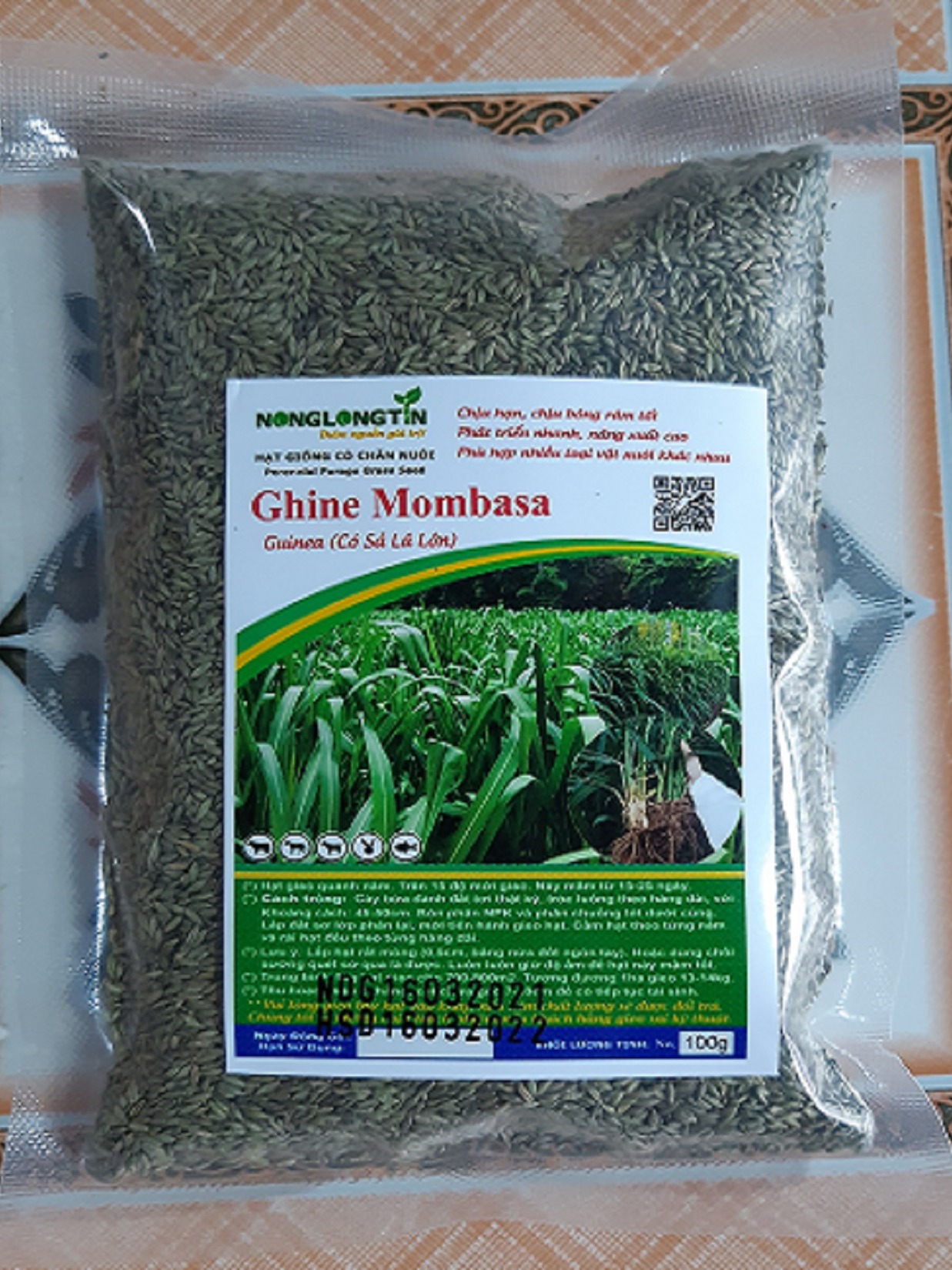 hạt giống cỏ ghine mombasa (cỏ xả lá lớn)