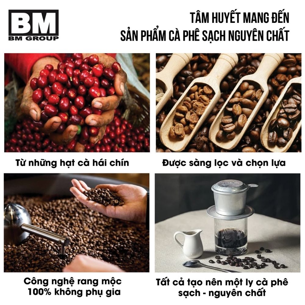 Raw Robusta Coffee Beans 500Gr /1 Bag