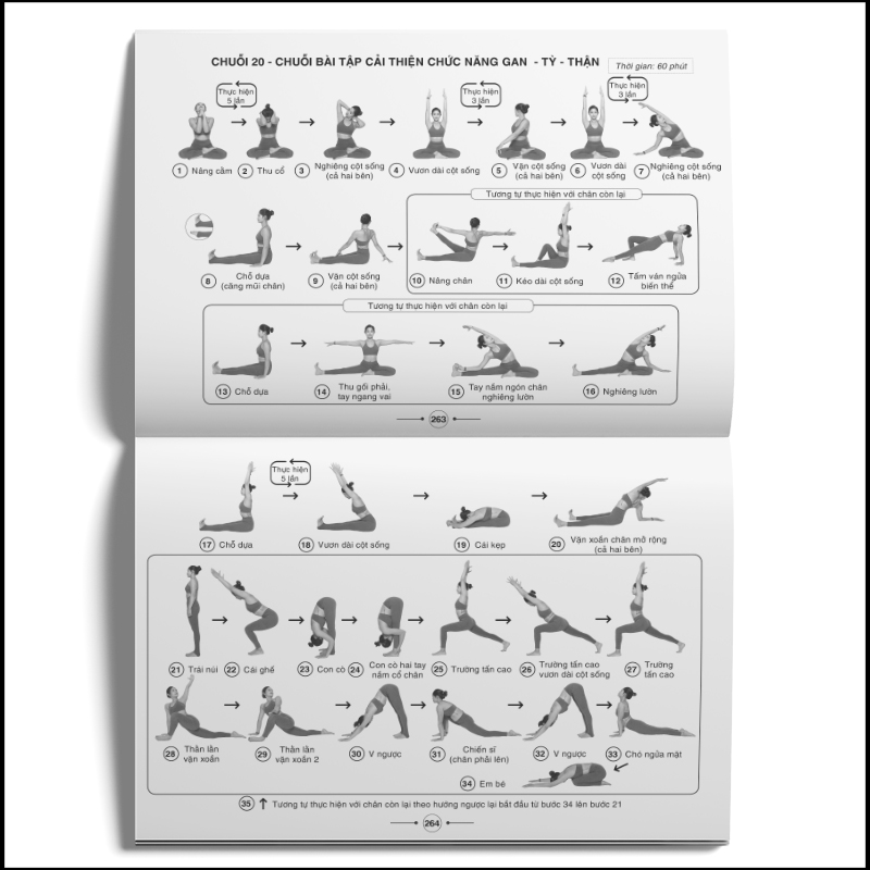 Sách yoga: Hệ thống 1500 biến thể tư thế & 100 chuỗi bài yoga liên hoàn