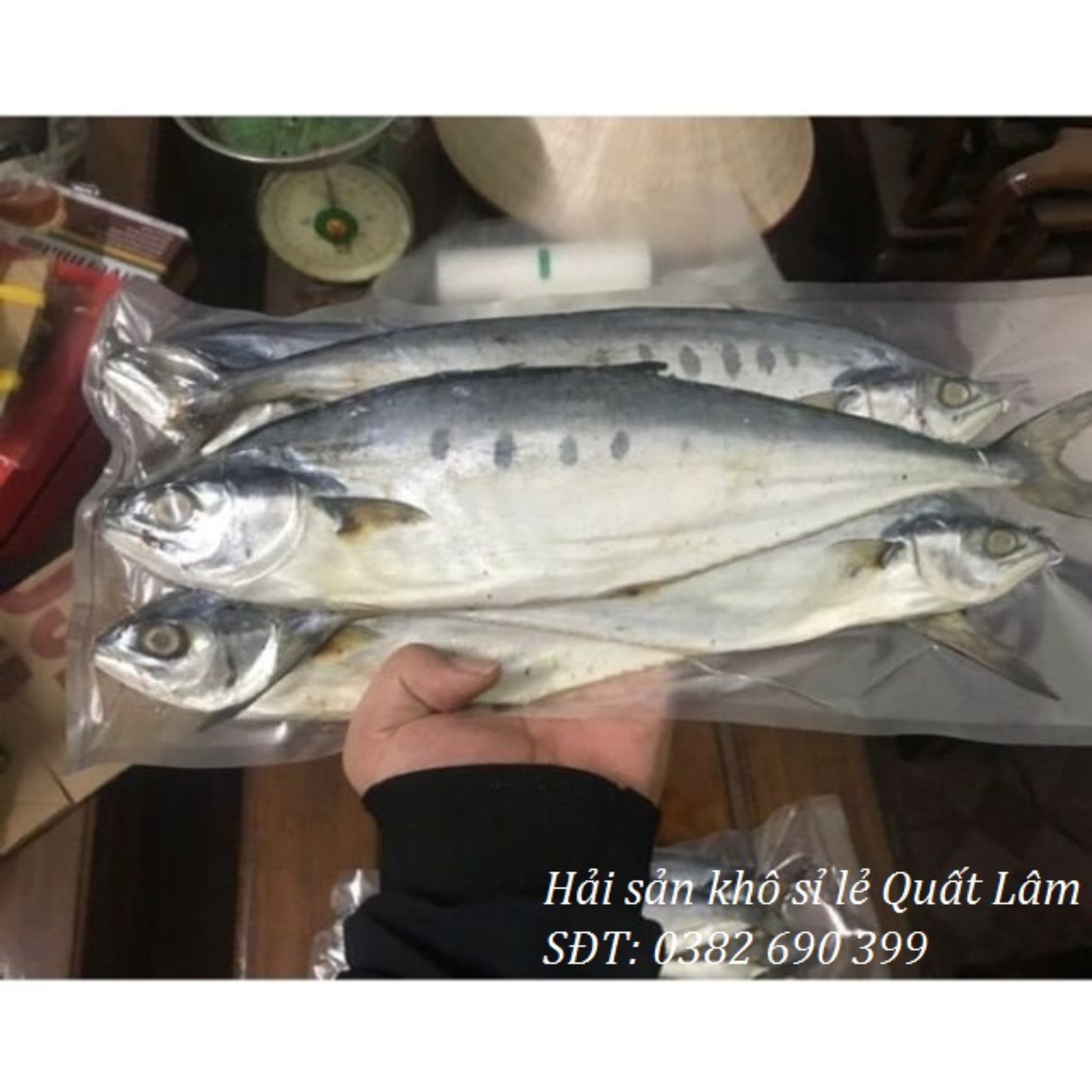 3kg CÁ BÈ BÈ ( họ cá thu) thịt thơm, ngon
