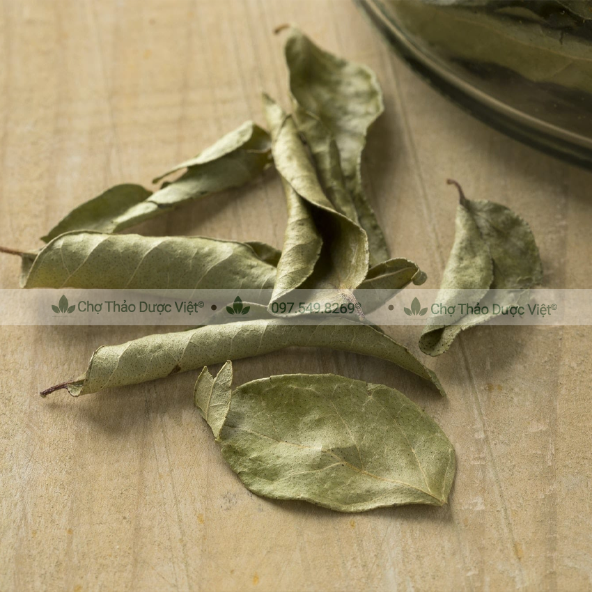 Lá cà ri khô 100g (Curry leaves) - Chợ Thảo Dược Việt