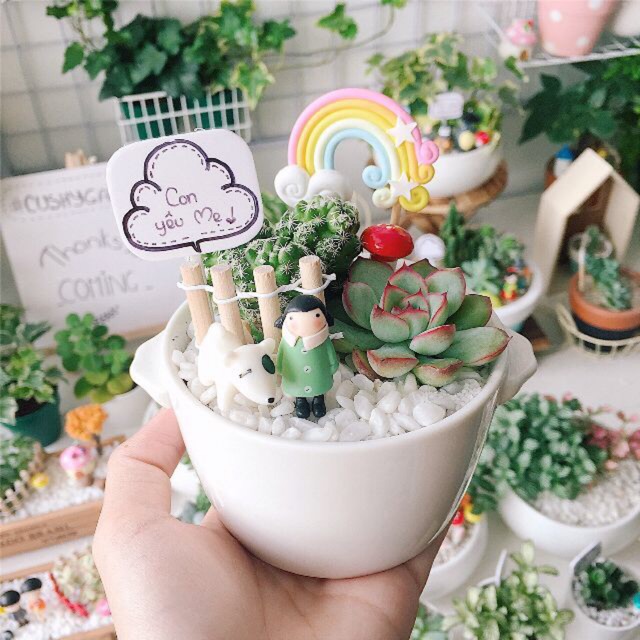 Đá Sỏi Trắng Trang Trí Bể Cá, Chậu Cây