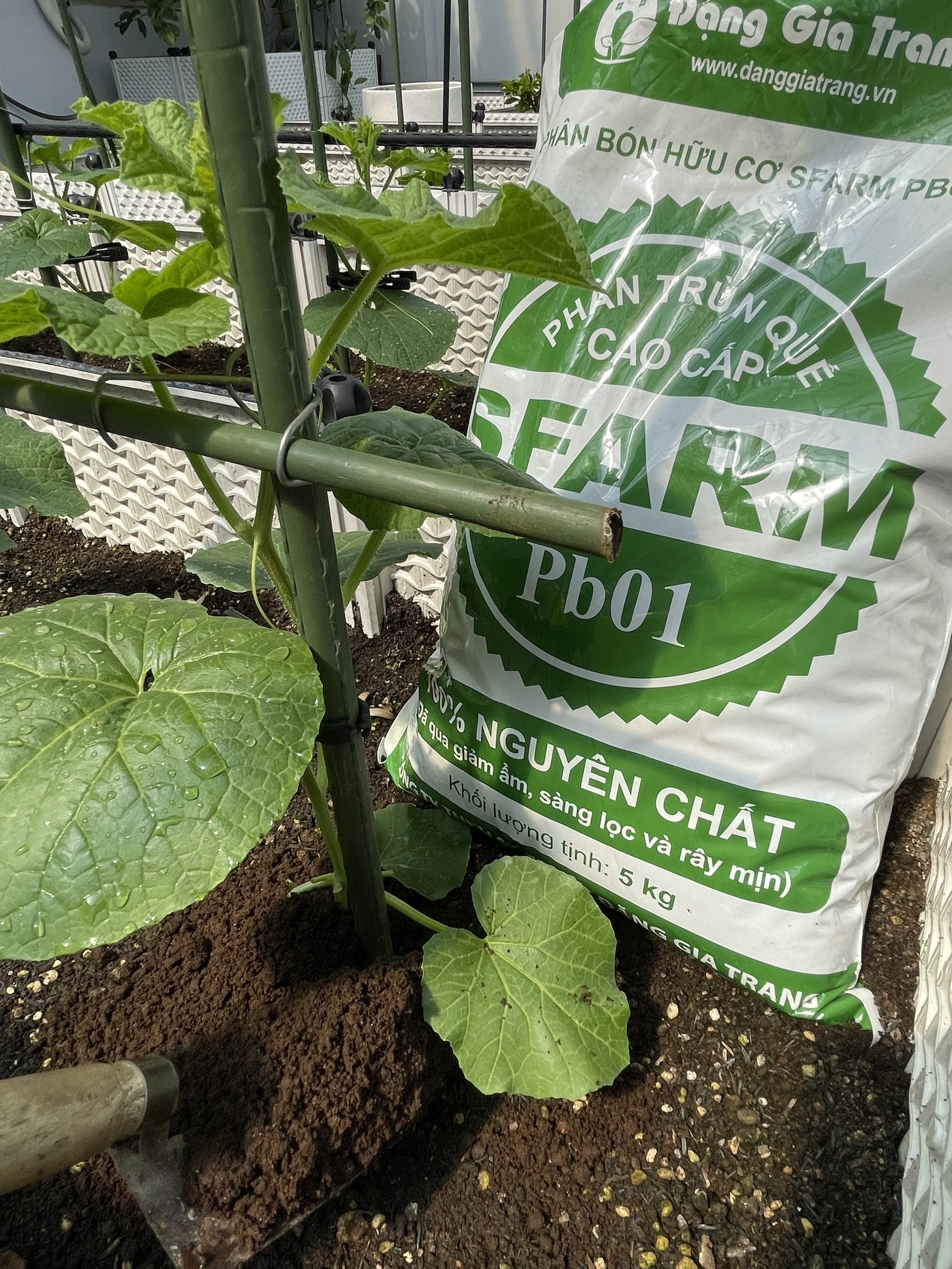 Phân trùn quế Sfarm nguyên chất 5kg