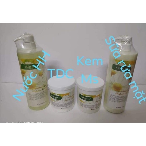 Bộ chăm sóc da mặt cơ bản hoa cúc (Sữa rửa mặt + Tẩy da chết + Kem massage + Nước hoa hồng)