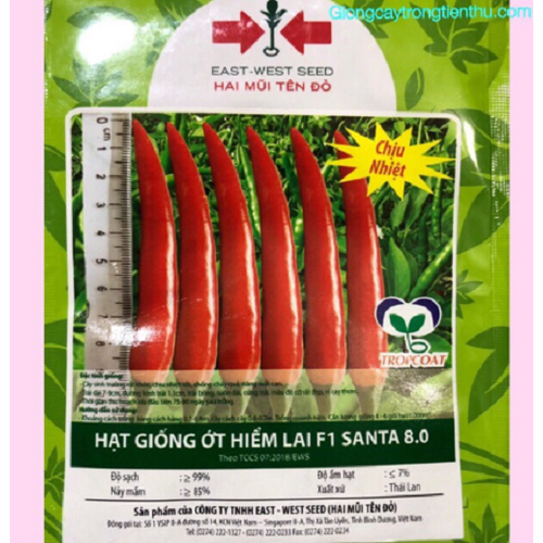 Hạt giống ớt hiểm lai f1 santa 8.0 gói 5gr