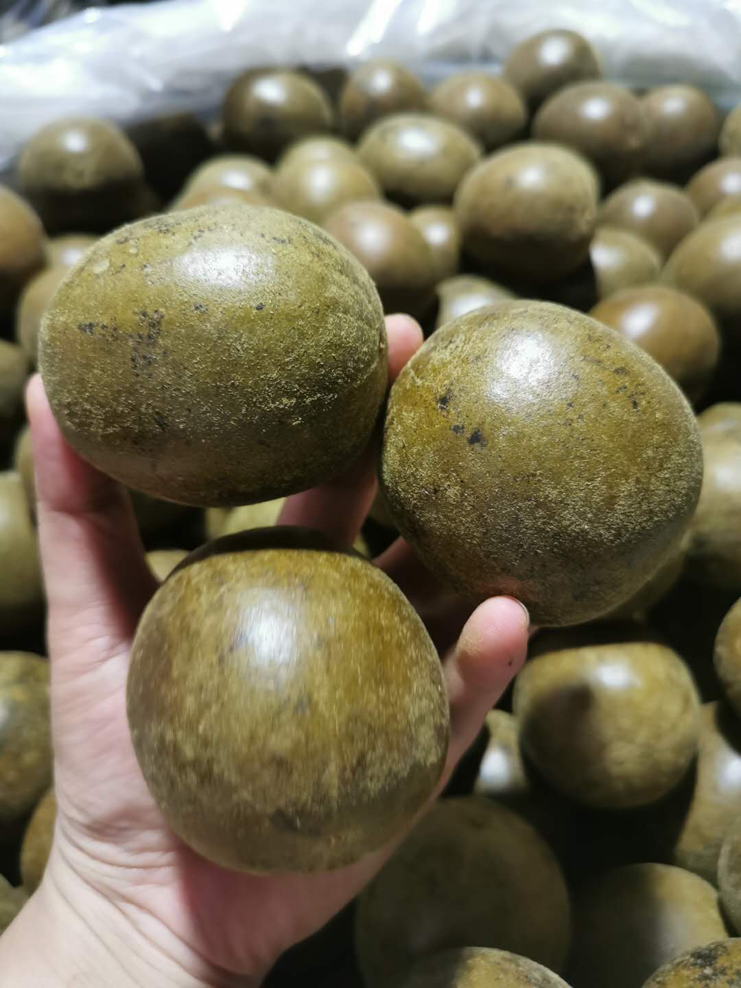 Quả La Hán (Thanh Nhiệt - Mát Gan) - Trà Hoa Natural Thảo Mộc