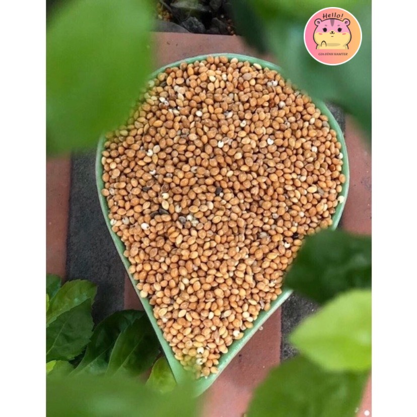 Hạt Kê Lọ 100g Thức ăn cho Hamster - Gia đình hamter