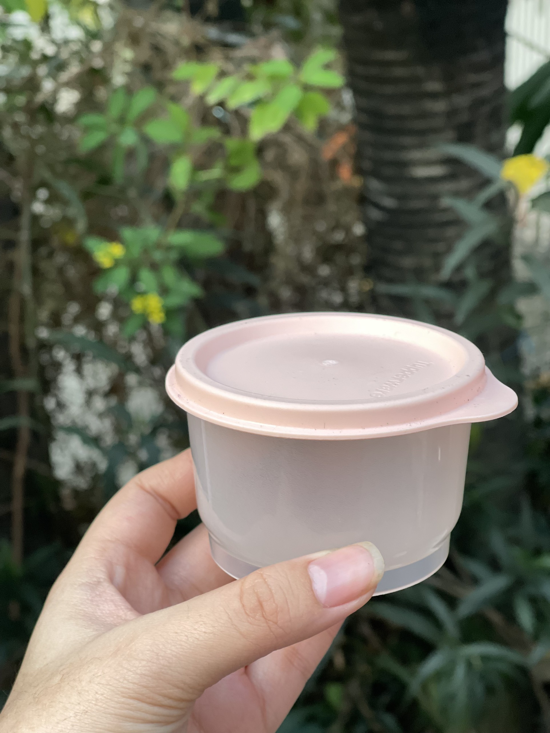 Hộp bảo quản thực phẩm Snack Cup (1 hộp) TUPPERWARE CHÍNH HÃNG