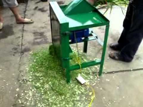 Máy thái chuối băm cỏ cho bò tại Thái Bình