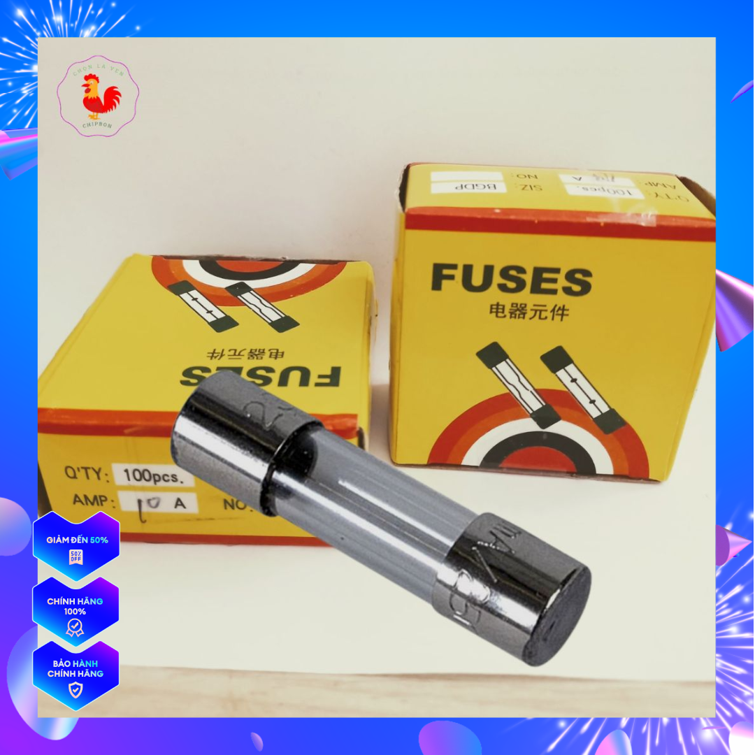 6x30 250V fuse