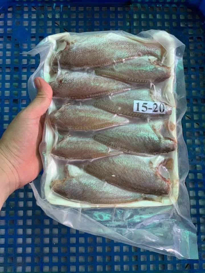 [HCM]CÁ ĐÙ MỘT NẮNG SIZE TRUNG