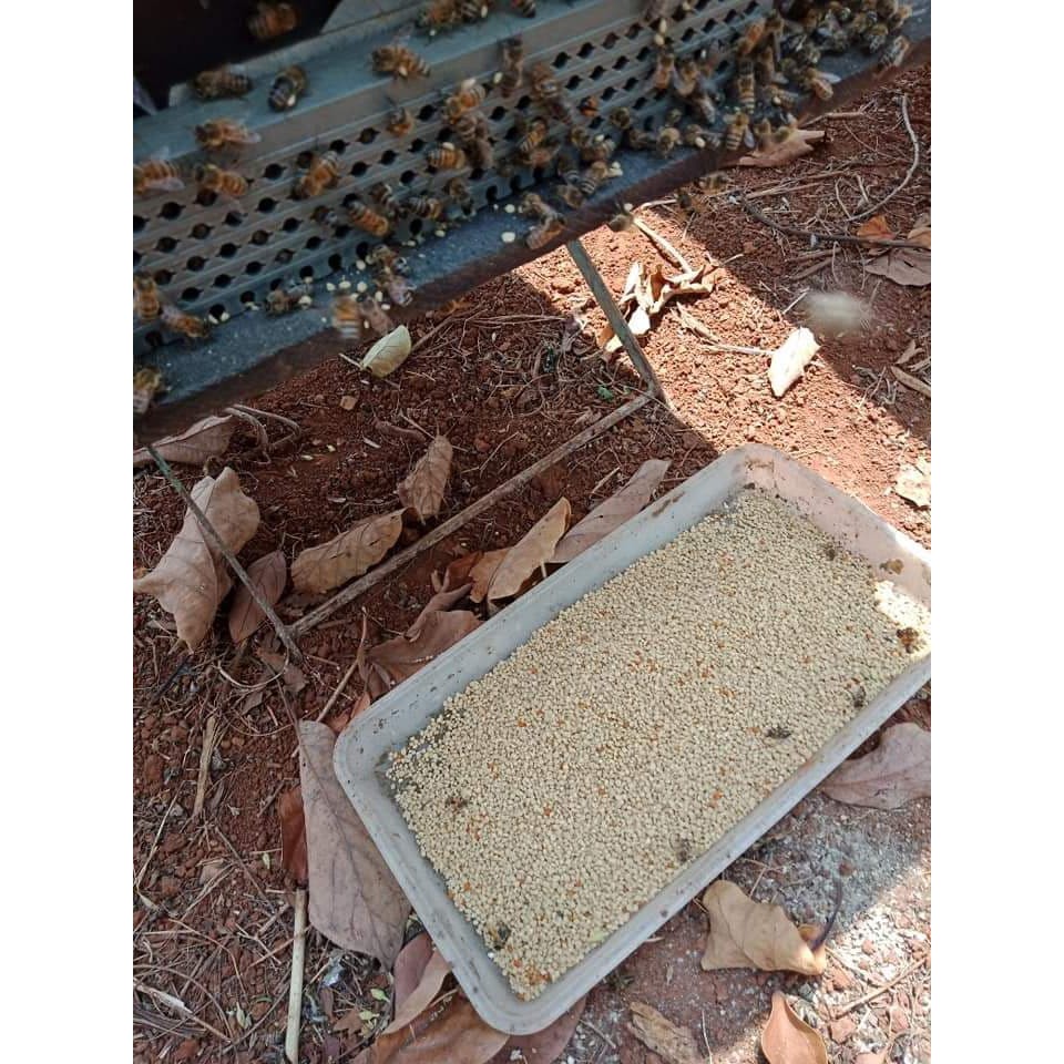 1 kg phấn hoa cà phê nguyên chất đăk lăk
