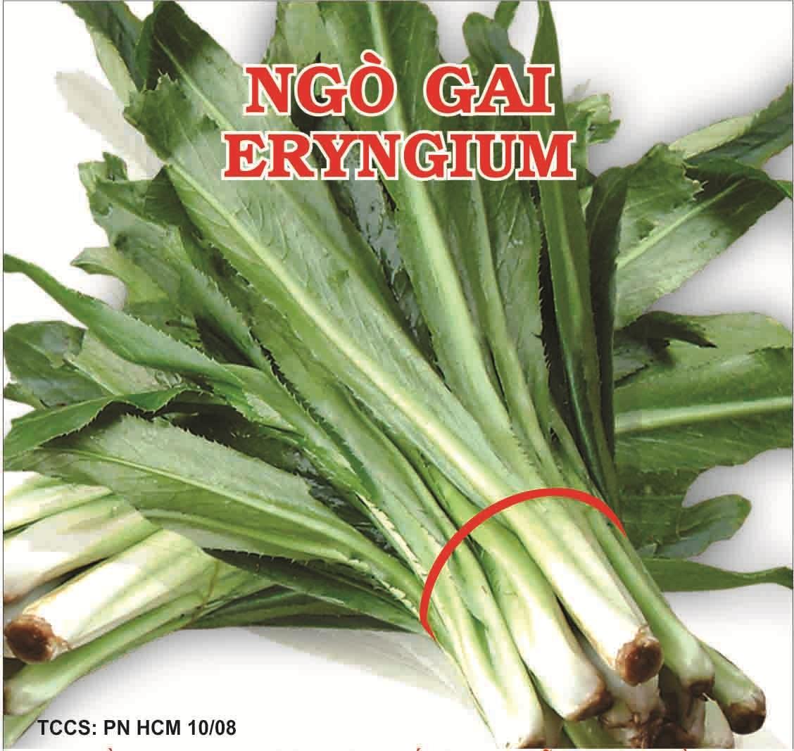 hạt giống ngò gai