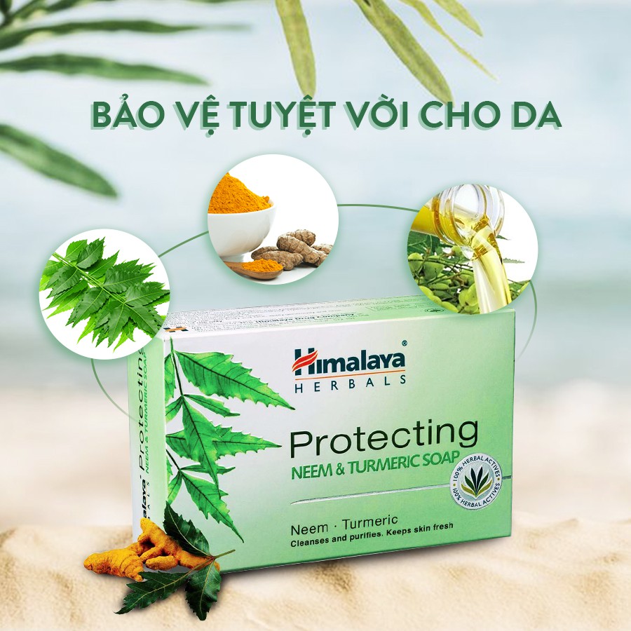 [HCM]Xà phòng giảm mụn lưng Himalaya Neem và nghệ tây 75g