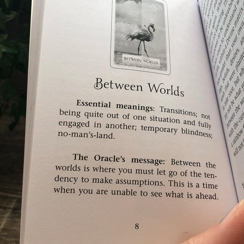 Bài Wisdom of the Oracle