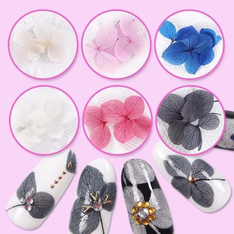 Hoa khô ẩn gel trang trí Nail siêu đẹp