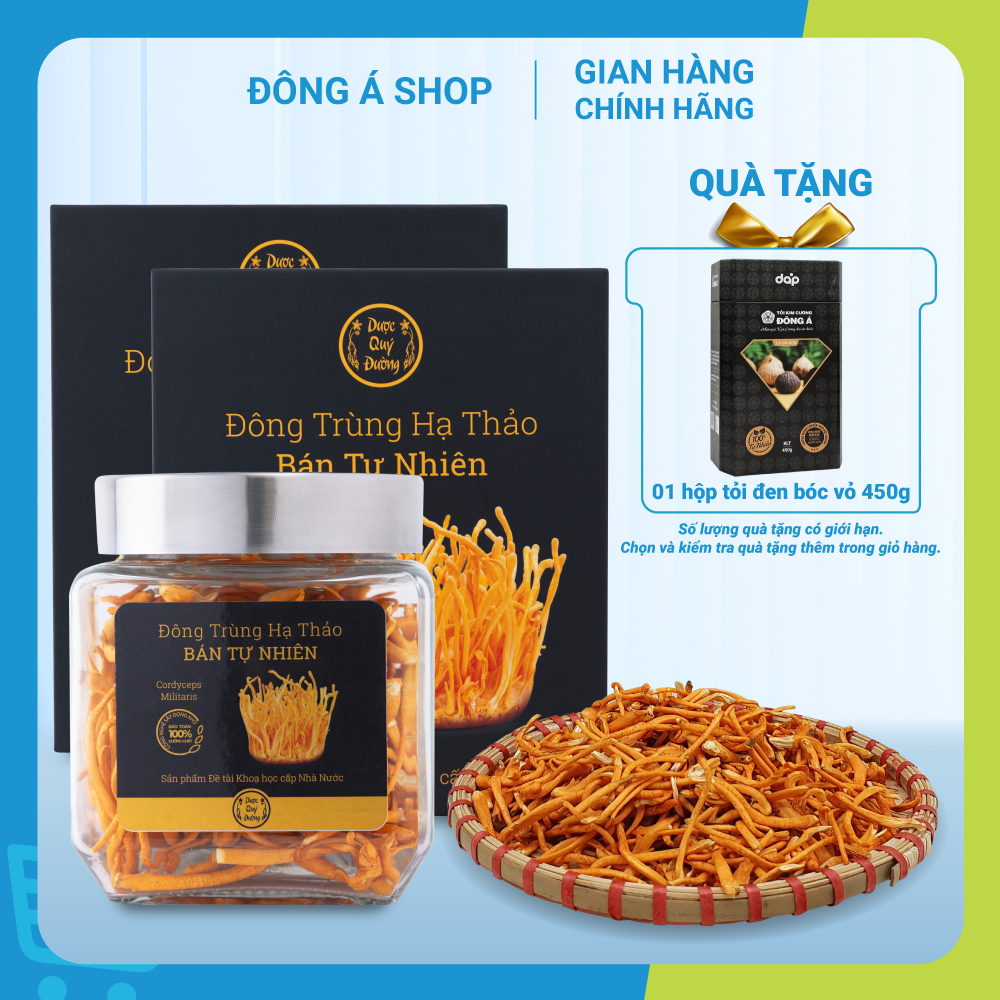 Đông trùng hạ thảo sấy khô Dược Quý Đường hộp 20g - Đông Trùng bán tự nhiên, hỗ trợ bồi bổ cơ thể, bổ phế, ích can thận