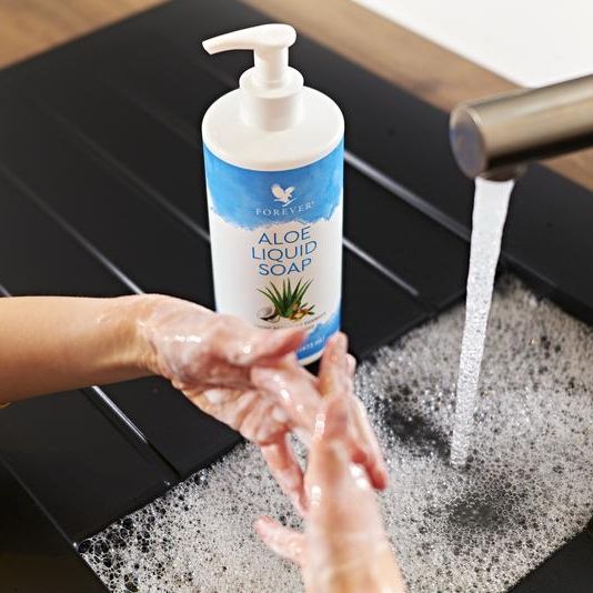 facial cleanser and hand aloe liquid soap 633flp 473ml