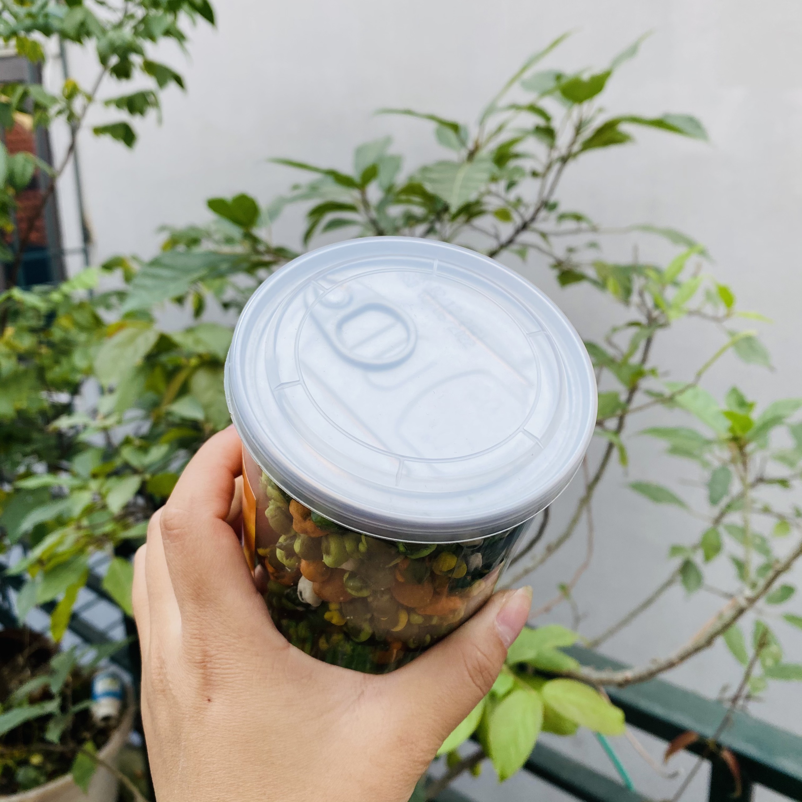 ĐẬU HÀ LAN MIX VỊ - 450gr - MONMON FOOD