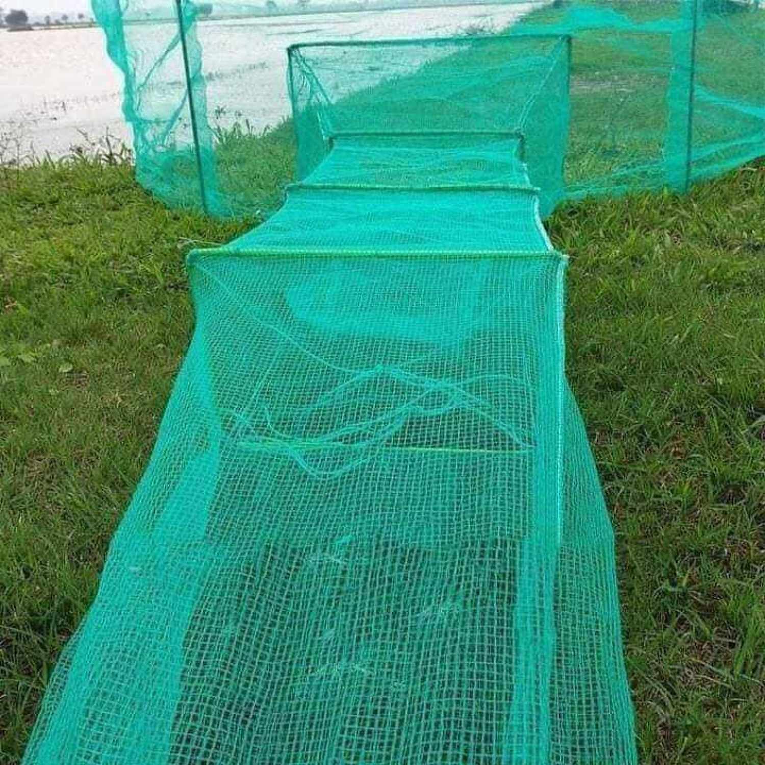 Dớn chặn sông, dớn bắt cá