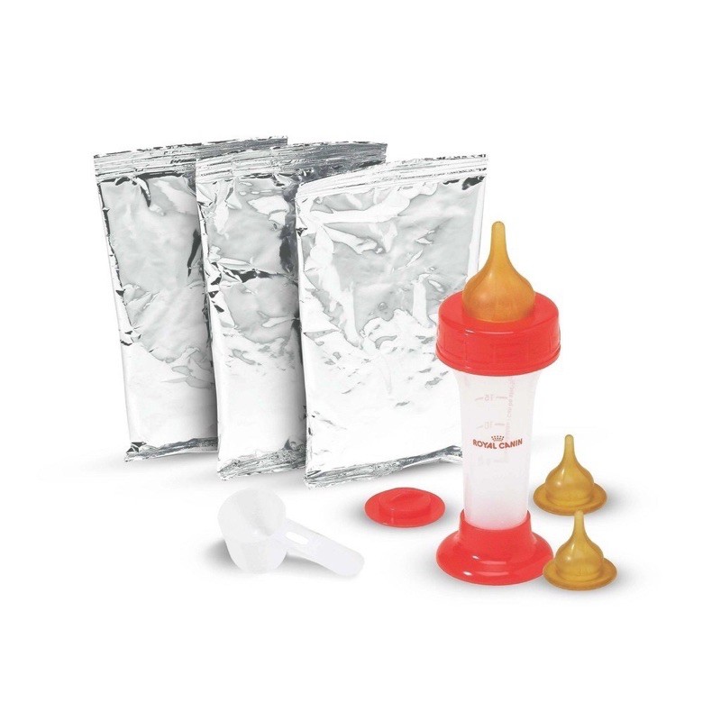 Sữa Bột Dinh Dưỡng Cho Mèo Con Babycat Milk Royal Canin