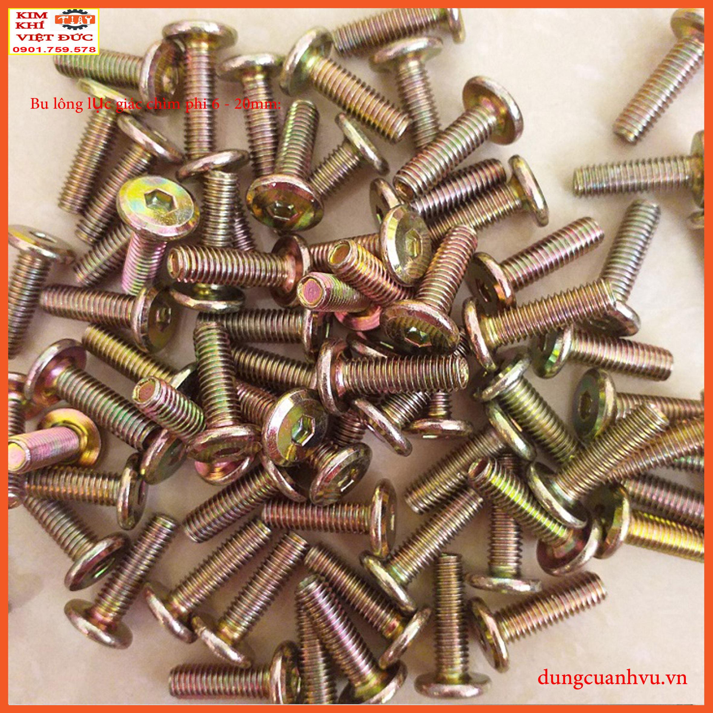 Bu lông lục giác chìm 6-20mm x 100 con
