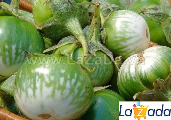 0.2Gr Hạt Giống Cà Dĩa Da Ếch (B1.101| C28)