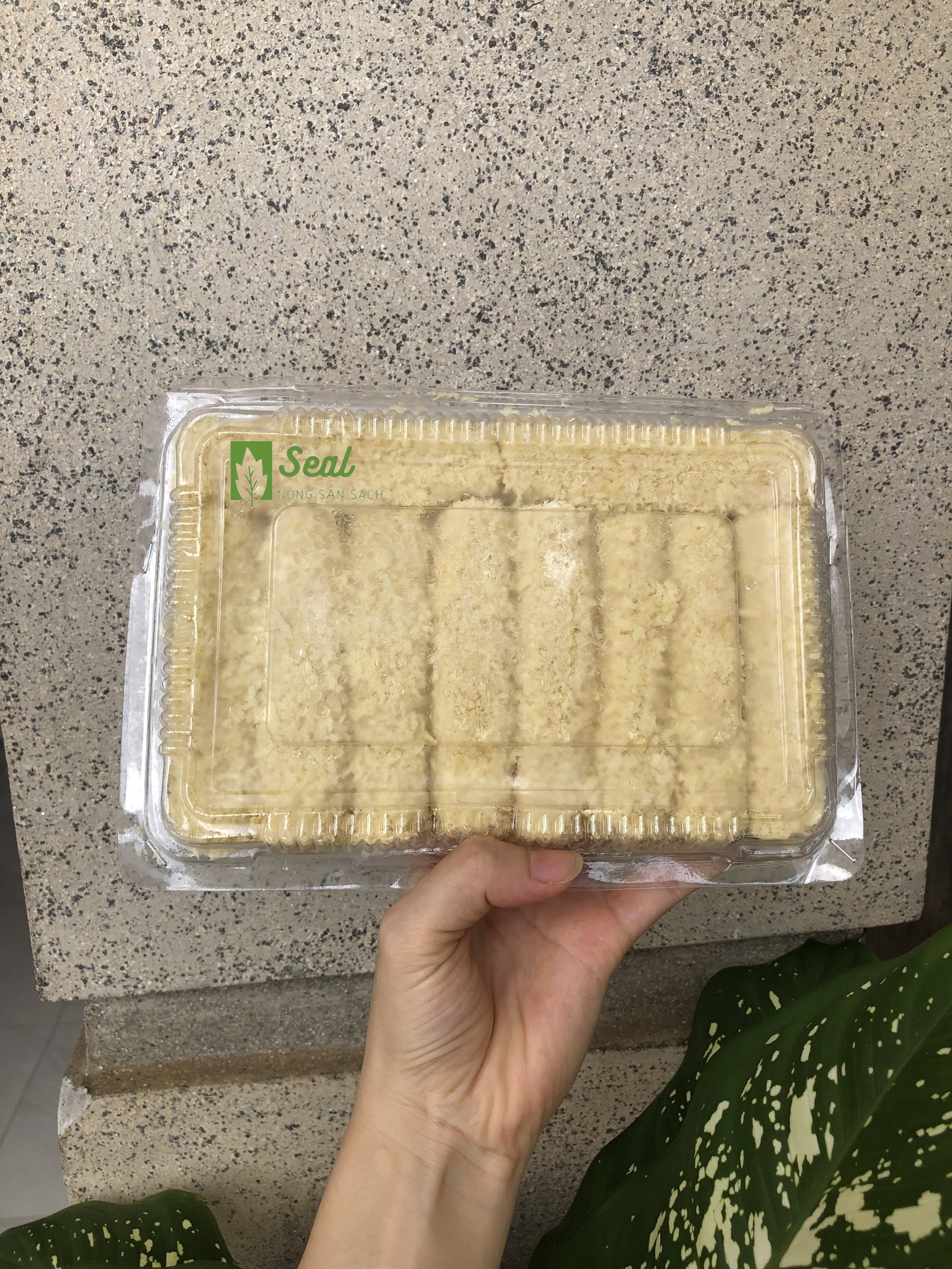 PHO MAI QUE (20 CÂY)