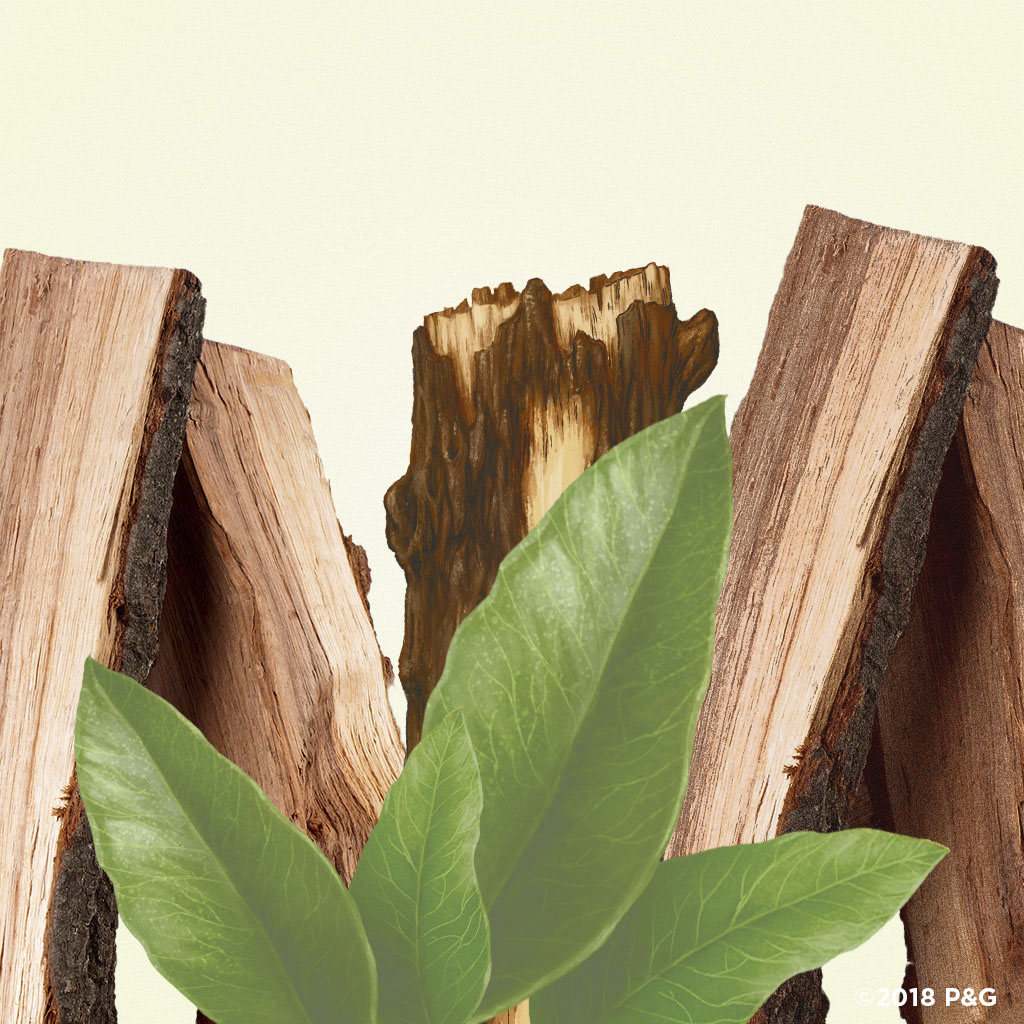 [NK Mỹ] Lăn Sáp khử mùi Old Spice 73g Timber (Sáp trắng) - TD Shop