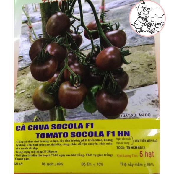 HẠT CÀ CHUA SOCOLA F1 - GÓI 5 HẠT