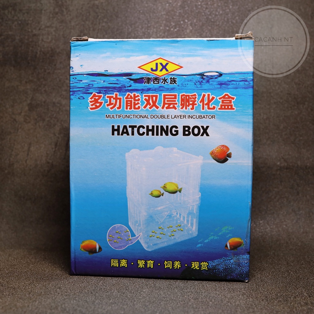Hộp cho cá đẻ , lồng đẻ guppy , lồng dưỡng cá