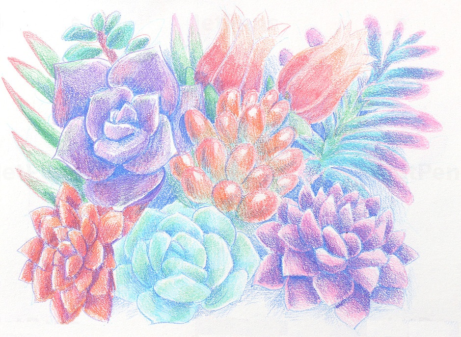 Hộp ngòi Chì Kim Uni Nano Dia Color
