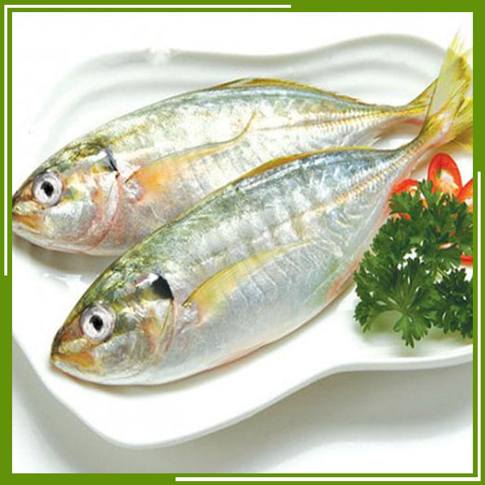 HCM - Cá bạc má (500g) - [Giao nhanh TPHCM]