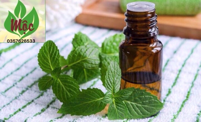 Tinh Dầu Bạc Hà Nguyên Chất 10Ml | Ấn Độ