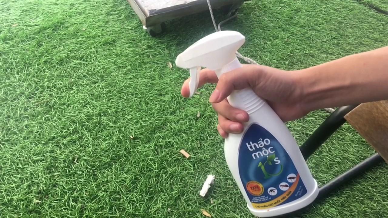 Combo 5 chai Thảo mộc 10s 500ml