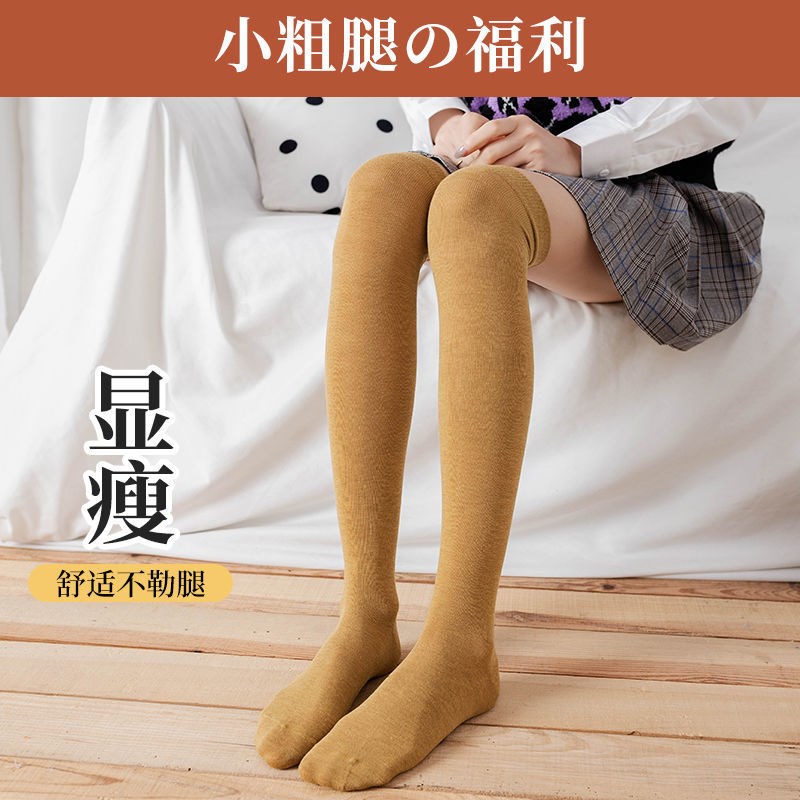 tất đùi qua đầu gối