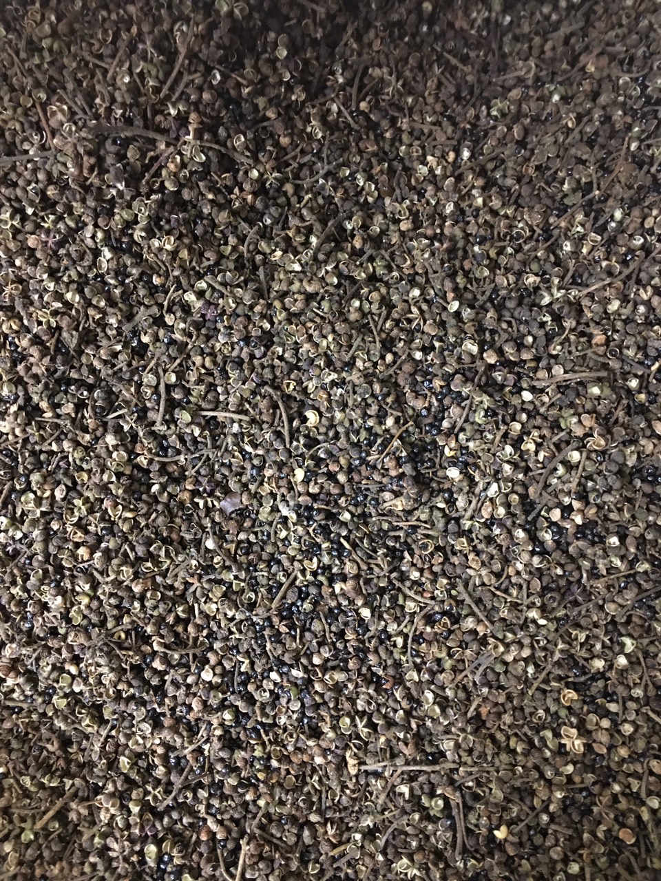 HẠT MẮC KHÉN 100G