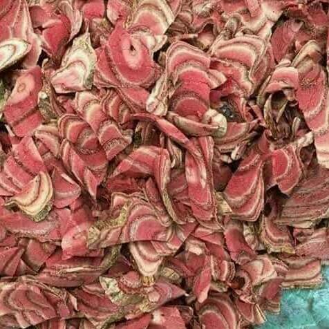 1KG CÂY CỎ MÁU