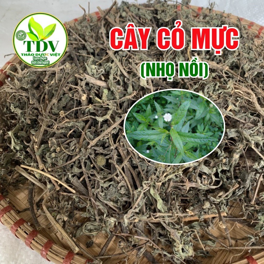 1kg Cây Cỏ Mực Nhọ Nồi khô sạch, giúp tốt cho sức khỏe tim mạch, cải thiện tóc bạc rất hiệu quả, an toàn