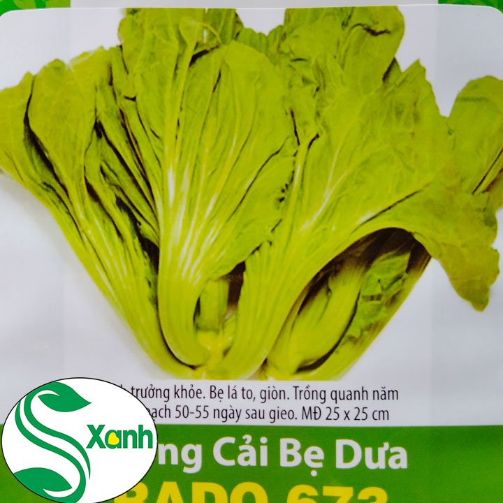 Hạt Giống Cải Bẹ Dưa