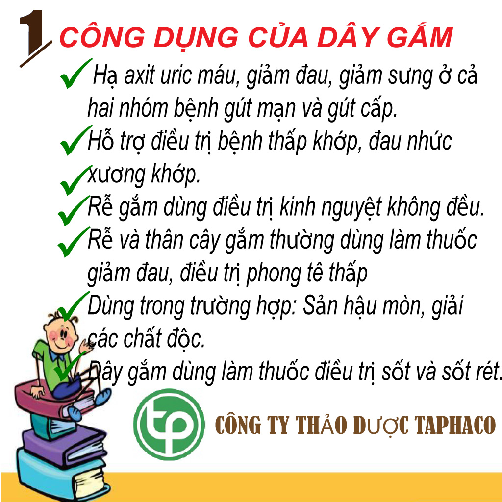 Dây gắm sấy khô túi lớn loại 500 hàng cao cấp - Chuyên dùng để pha trà và sắc nước uống