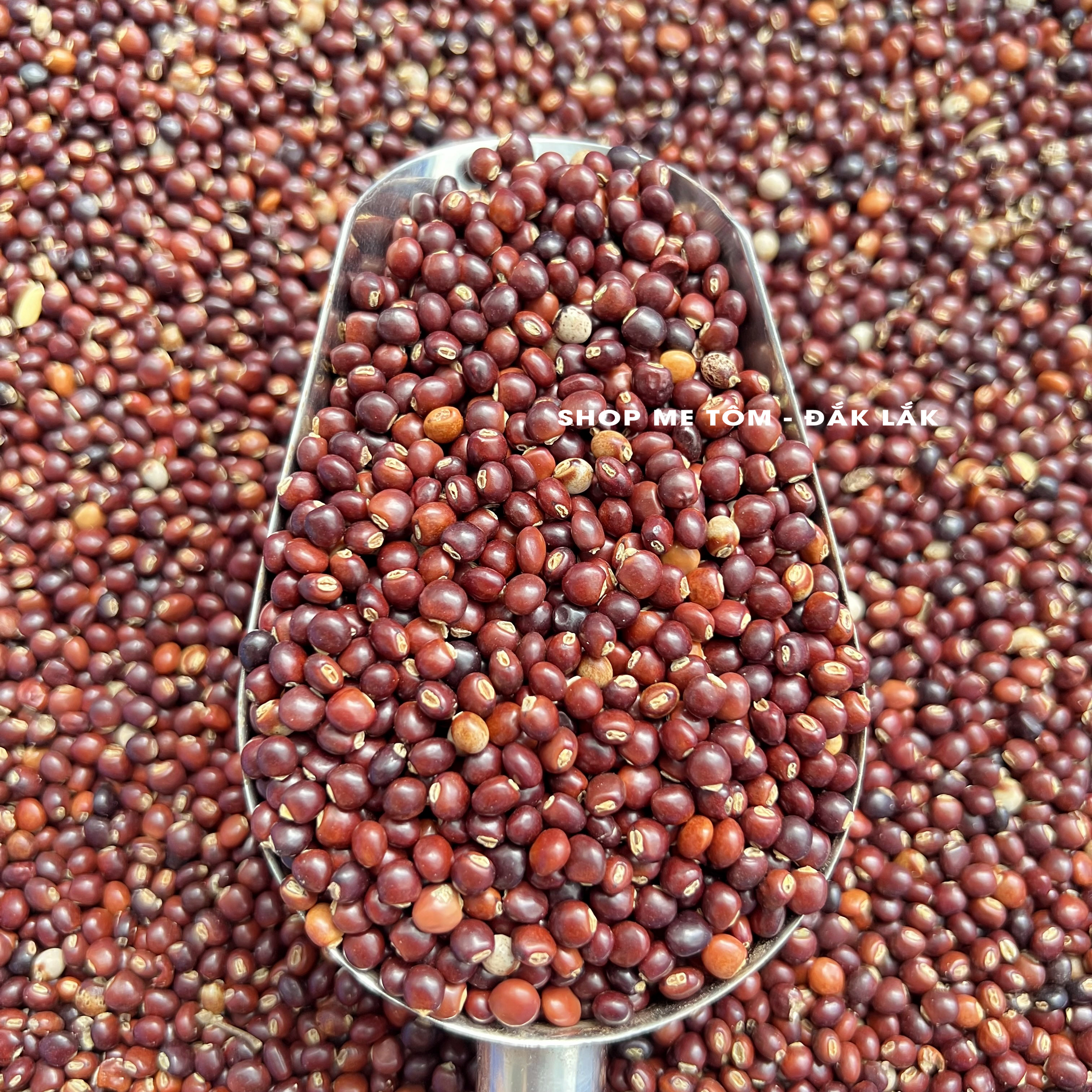 500GRAM ĐẬU SĂNG ĐĂKLĂK (ĐẬU MỘC, ĐẬU CHIỀU...)