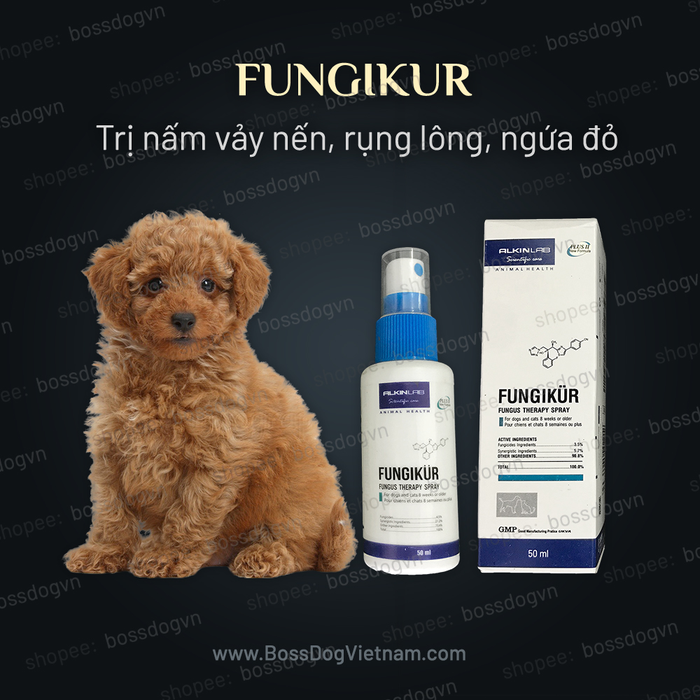 Trị nấm ngứa vảy nến rụng lông Alkin Fungikur - mọi dòng chó poodle, corgi