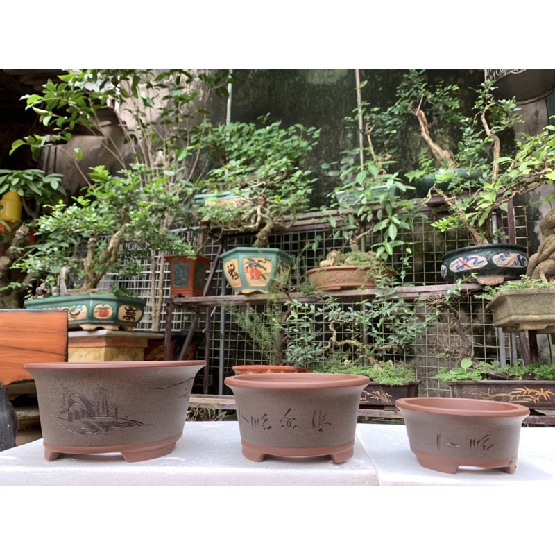 Chậu gốm tàu-chậu cảnh bonsai