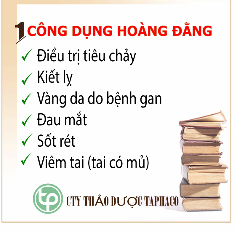 [Hàng mới về] Hoàng đằng khô 500g - Tấn Phát - Hỗ trợ kháng khuẩn và bảo vệ sức khỏe