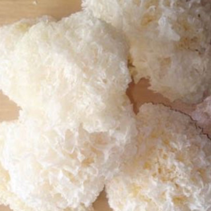 Nấm tuyết 1 bông (50g)
