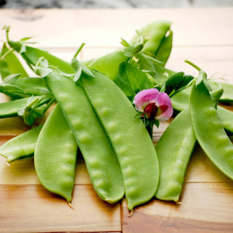 Hạt Giống Đậu Hà Lan Xào - 8Gram